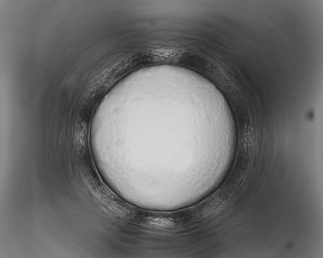 X0000115620649200912011616