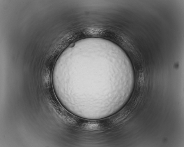 X0000115620651200912011616