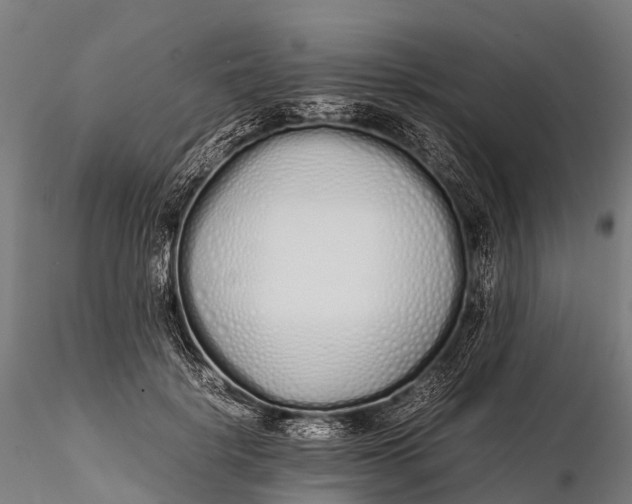 X0000115620652200912011616