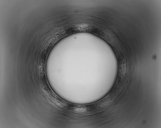 X0000115620653200912011616