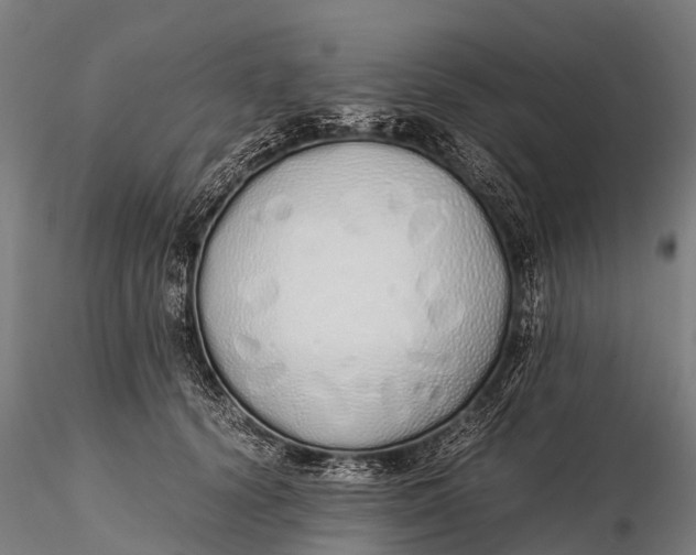 X0000115620656200912011616