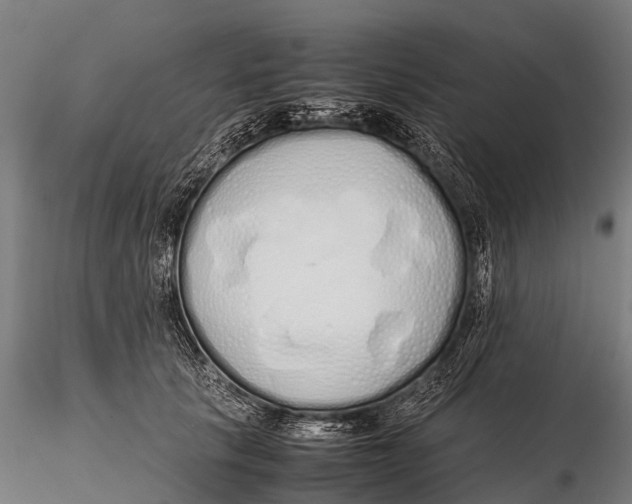 X0000115620657200912011616