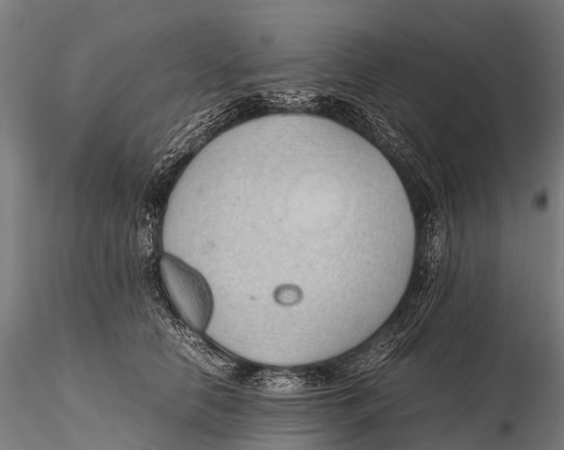 X0000115620658200912011616