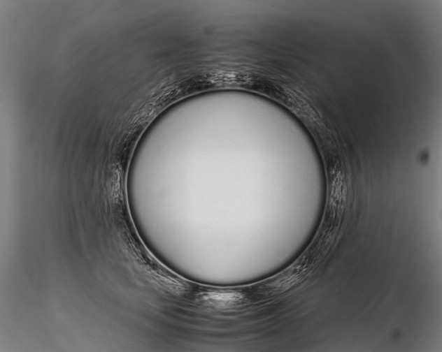 X0000115620659200912011616