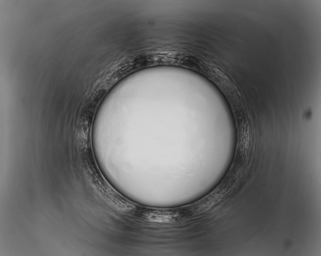 X0000115620661200912011616