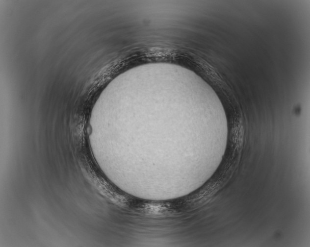 X0000115620662200912011616