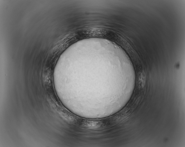 X0000115620663200912011616