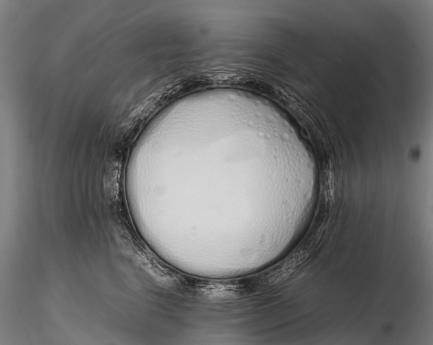 X0000115620664200912011616