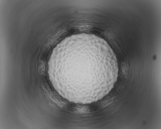 X0000115620667200912011616