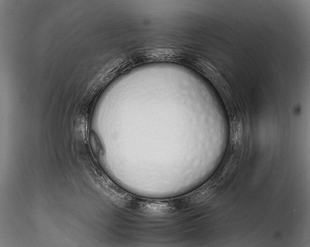 X0000115620669200912011616