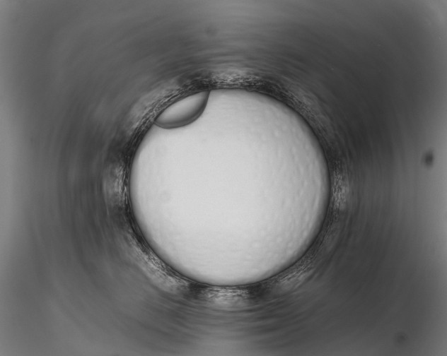 X0000115620670200912011616