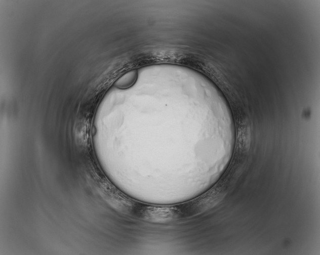 X0000115620671200912011616