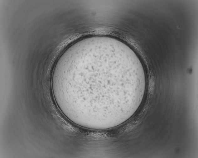 X0000115620673200912011615