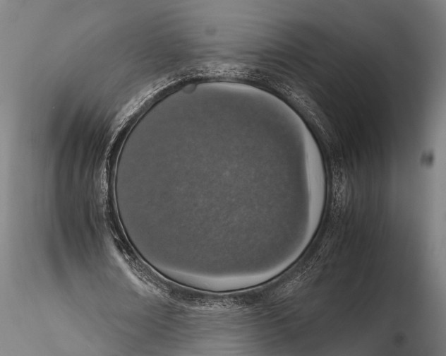 X0000115620674200912011615