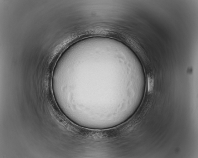 X0000115620675200912011615