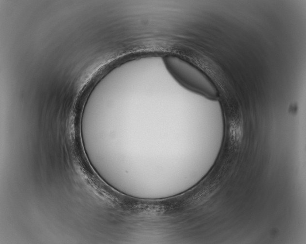 X0000115620676200912011615