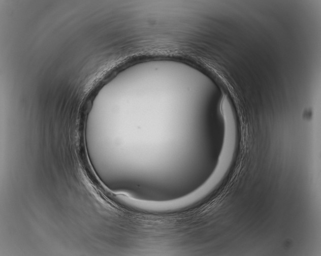 X0000115620677200912011615