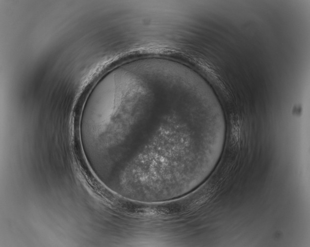 X0000115620678200912011615