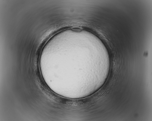 X0000115620679200912011615