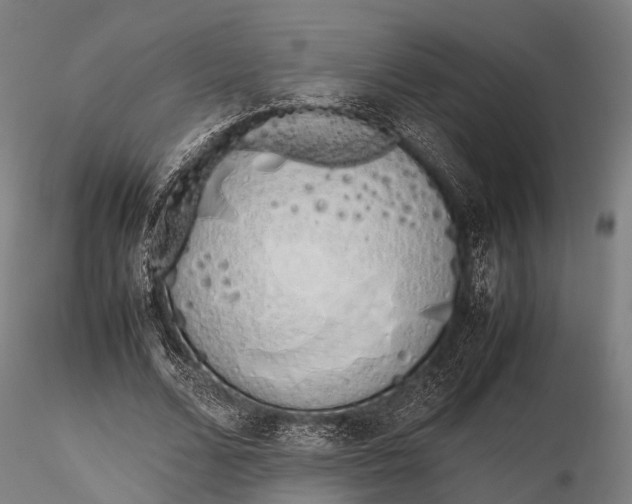 X0000115620680200912011615