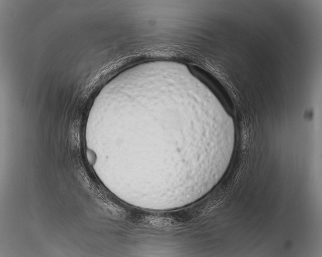 X0000115620681200912011615