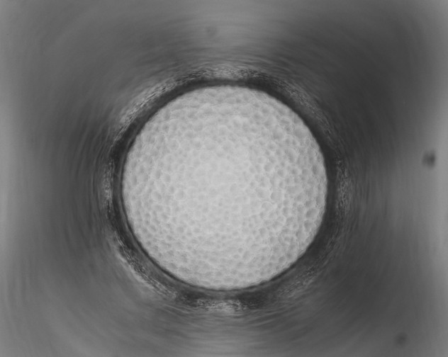 X0000115620683200912011615