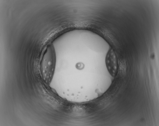 X0000115620684200912011615