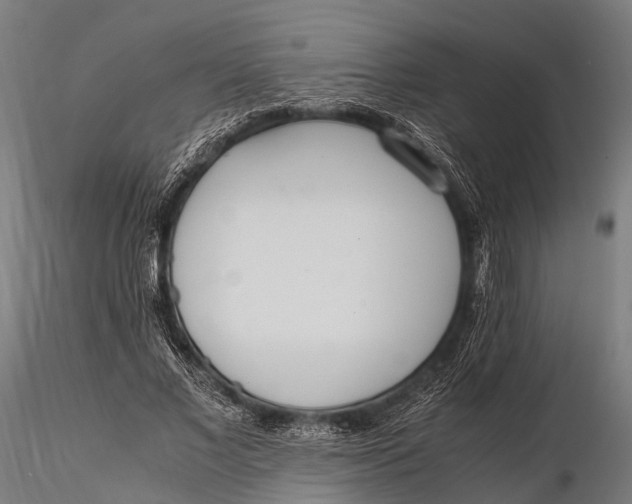 X0000115620685200912011615