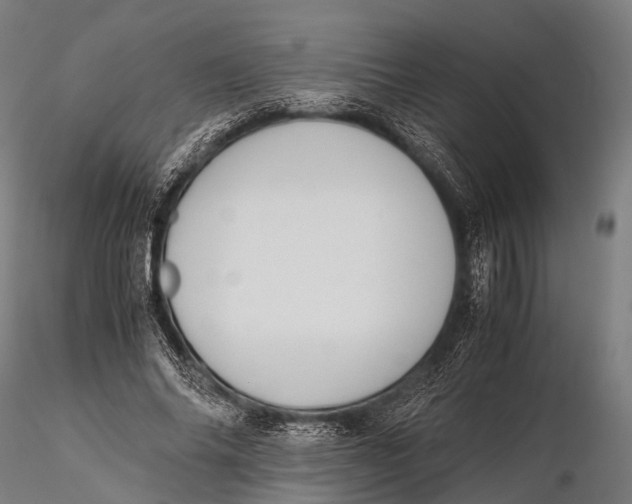 X0000115620686200912011615