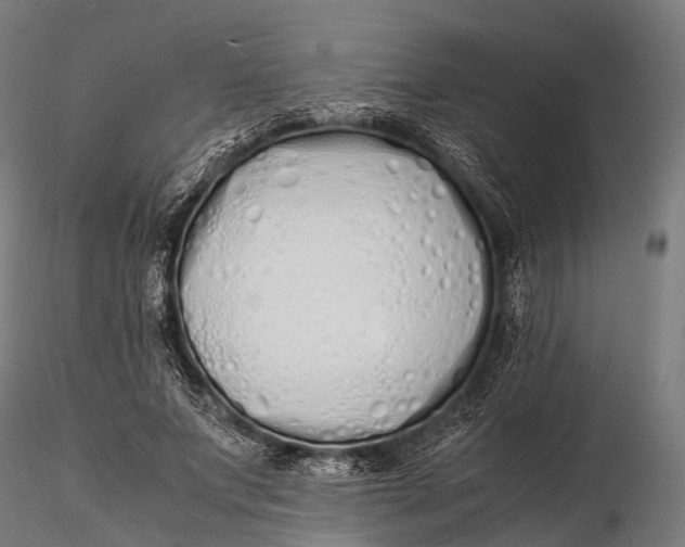 X0000115620687200912011615