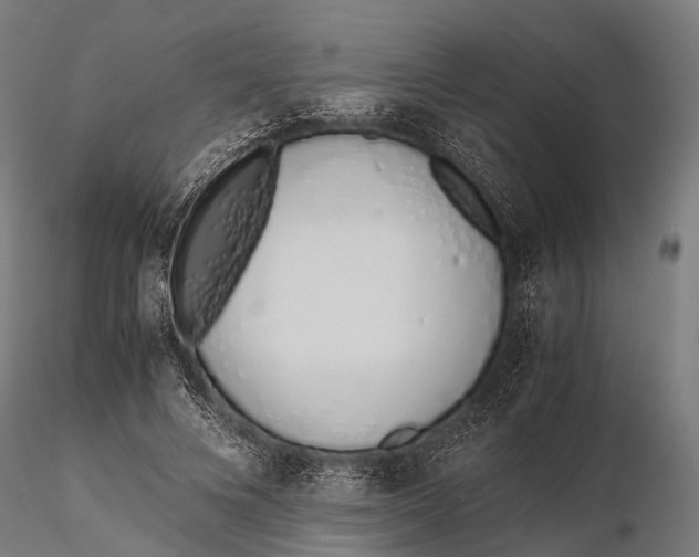 X0000115620688200912011615