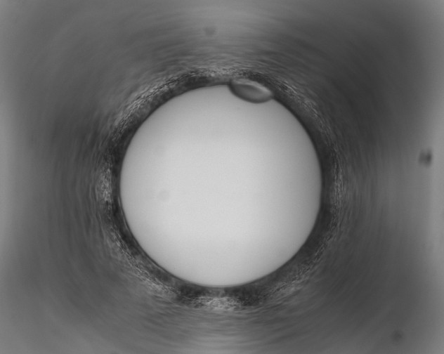 X0000115620689200912011615