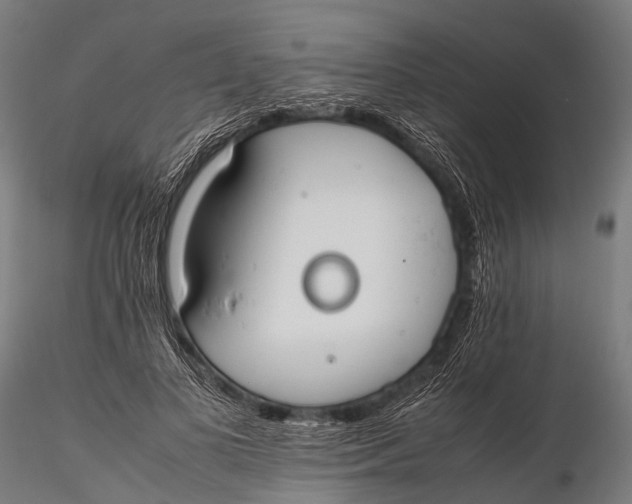 X0000115620693200912011615