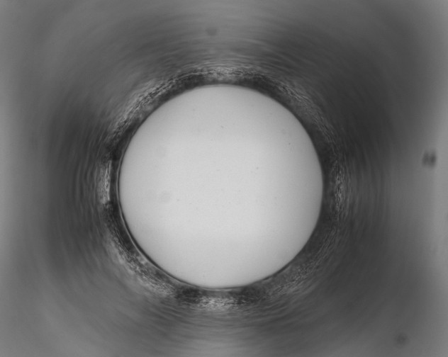 X0000115620694200912011615