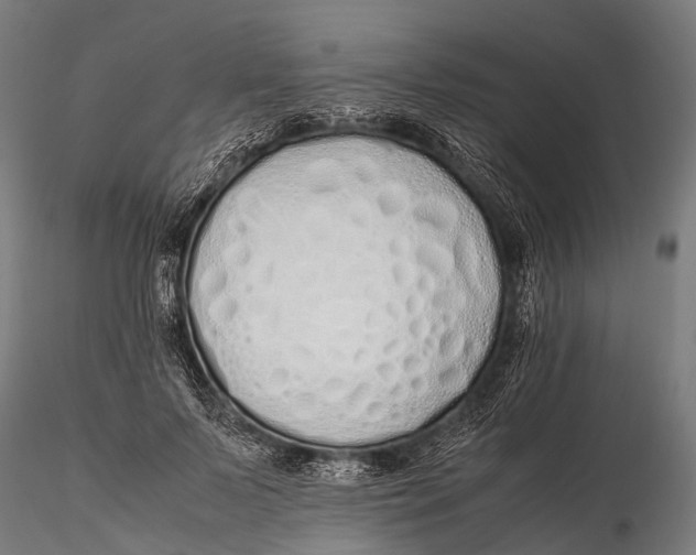 X0000115620695200912011615