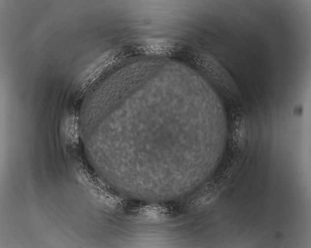 X0000115620696200912011615