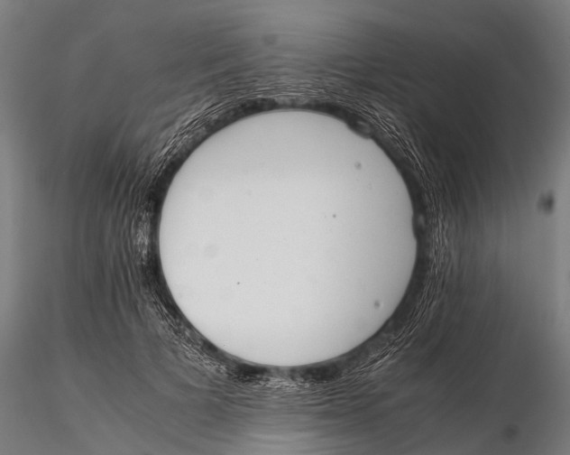 X0000115620697200912011615