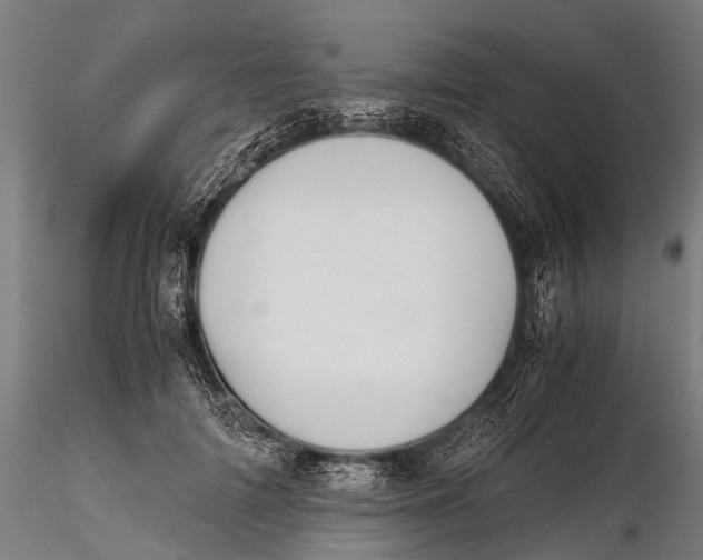 X0000115620698200912011615