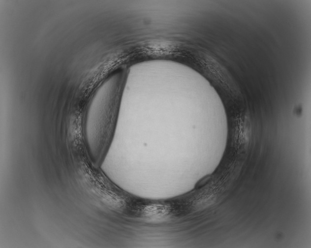 X0000115620700200912011615