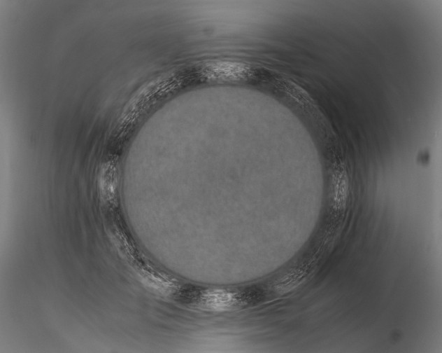 X0000115620701200912011615