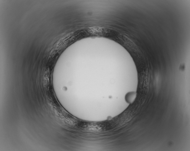 X0000115620702200912011615