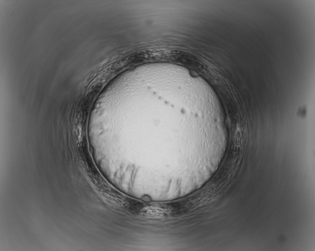 X0000115620703200912011615