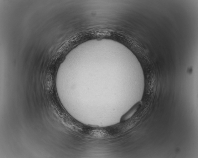 X0000115620704200912011615