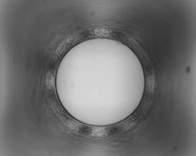 X0000115620705200912011615