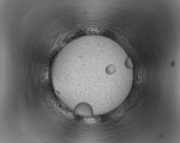 X0000115620706200912011615