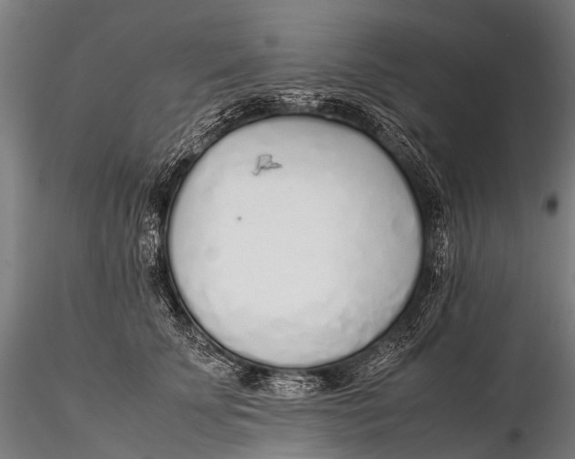 X0000115620707200912011615