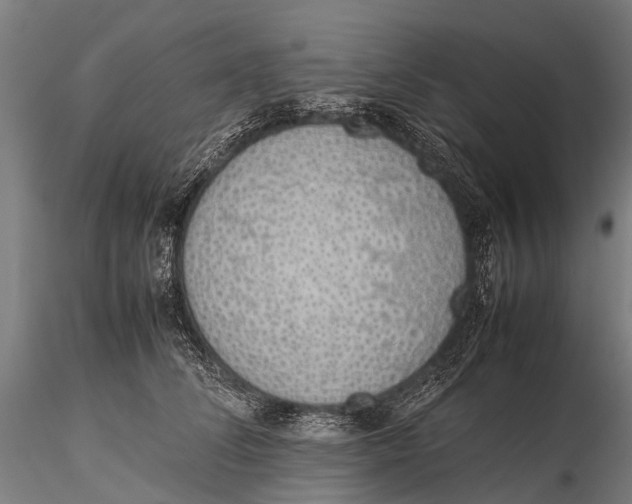 X0000115620708200912011615