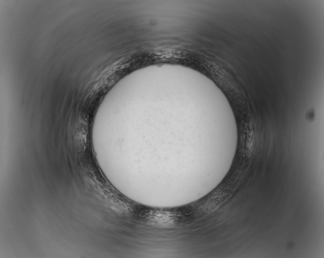 X0000115620710200912011615