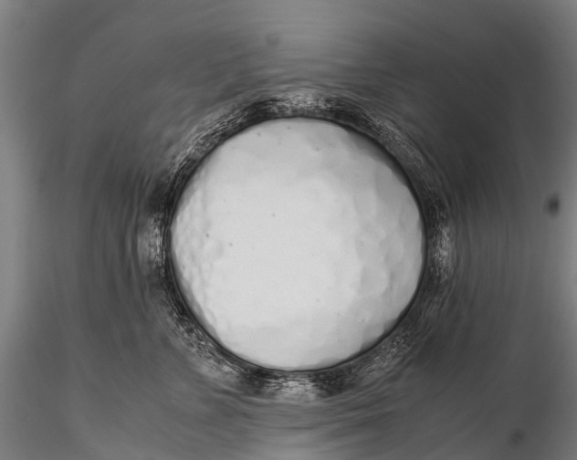 X0000115620715200912011614