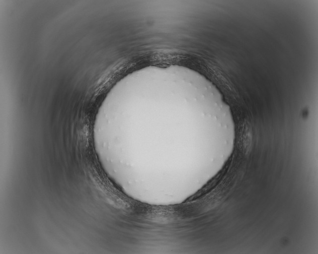 X0000115620716200912011614